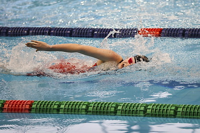 Открытый чемпионат Беларуси по плаванию стартовал в Бресте