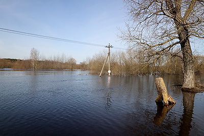 \"И помощь есть, и большой воды не боимся\". Как живут в отрезанной от суши паводком Поляновке