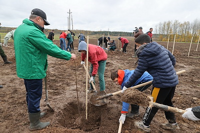 В Сенненском детском доме заложили сад на 130 деревьев