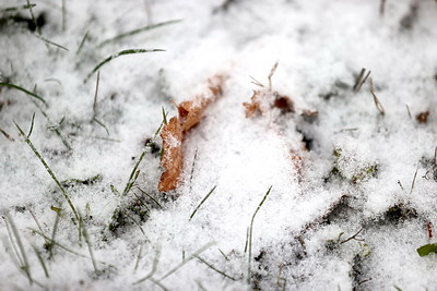 Зимний Гродно накрыло снежным одеялом