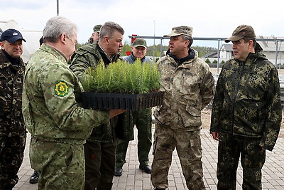 Шулейко об акции \"Аднавім лясы разам!\": высаживаем качественные саженцы с хорошей приживаемостью