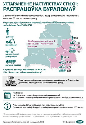 Инфографика. Устранение последствий стихии: разработка буреломов