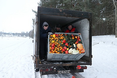 В рацион диких животных в Гродненской области добавляют овощи и фрукты