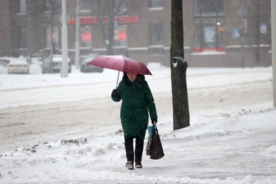 План \"Погода\" ввели в Минской области из-за снегопада