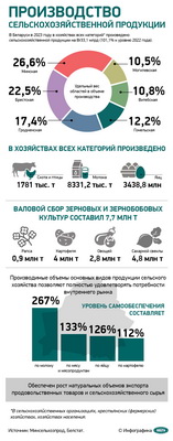 Инфографика. Производство сельскохозяйственной продукции