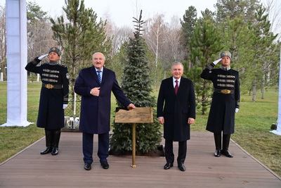 Лукашенко и Мирзиёев посадили дерево на Аллее почетных гостей в резиденции \"Куксарой\"