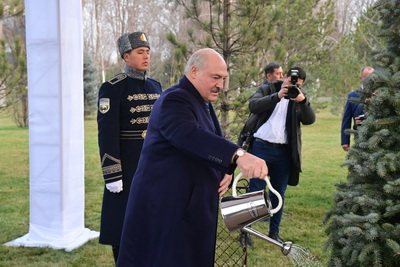 Лукашенко и Мирзиёев посадили дерево на Аллее почетных гостей в резиденции \"Куксарой\"