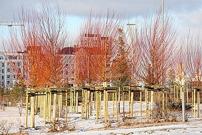 Города мира. Астана