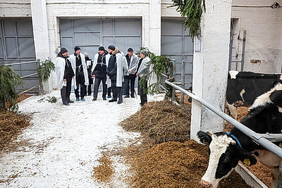 Серьезная перезагрузка отрасли: девять новых МТК появилось в Могилевской области в 2025 году