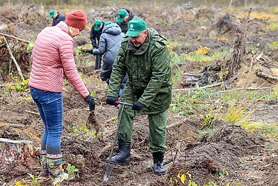 Задел на будущее, важный ресурс для следующих поколений. Карпенко об акции \"Дай лесу новае жыццё!\"