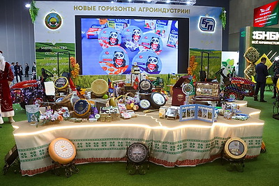 Делегаты ВНС из разных регионов страны посетили выставку \"Моя Беларусь\"