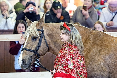 В Могилевском районе прошла международная выставка-шоу породистых лошадей \"Осень-2025\"