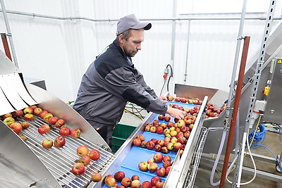 Предприятие по производству соков прямого отжима открылось в Шарковщине