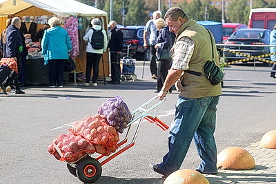 В Бресте начали работать осенние ярмарки