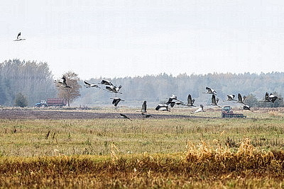 ФОТОХРОНИКА начинает новый информационный день