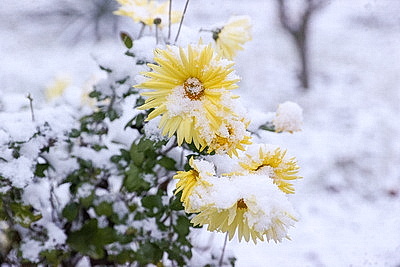 ФОТОХРОНИКА начинает новый информационный день