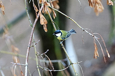 ФОТОХРОНИКА начинает новый информационный день