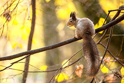ФОТОХРОНИКА начинает новый информационный день