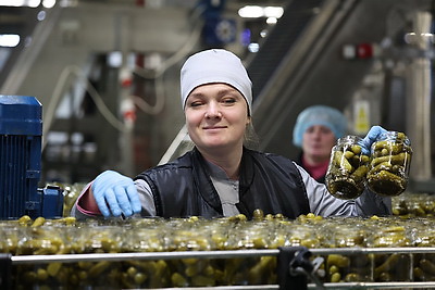 Матусевич ознакомился с работой ряда предприятий Быховского района