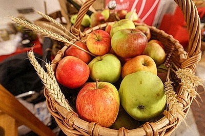 Дни Псковской области проходят в Витебске