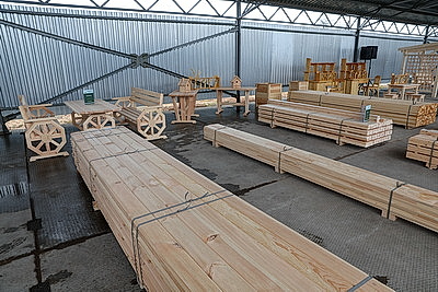 Лукашенко ознакомился с комплексным развитием территории Березинского биосферного заповедника