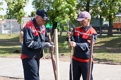 Аллею Памяти заложили возле Брестской крепости в честь 80-летия Победы