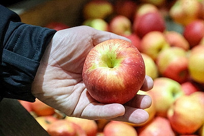 Комплекс для выращивания томатов построили в Ольшанах по программе \"Один район - один проект\"