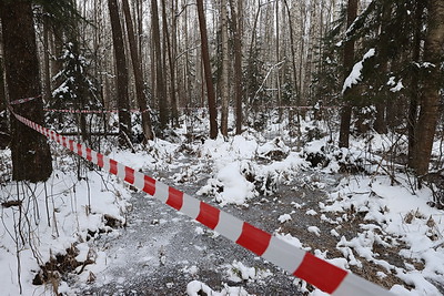 В Полоцком районе обнаружен самолет времен Великой Отечественной войны