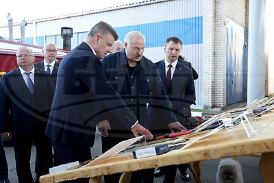 Лукашенко во время рабочей поездки в Витебскую область посетил Оршанский лесхоз