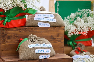 Подворья, выставки, концерты. Волковыск принимает областные \"Дажынкi\"