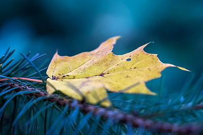 ФОТОХРОНИКА начинает новый информационный день