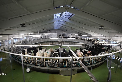 Новый молочно-товарный комплекс открыли в Клецком районе