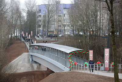 \"Ждали с нетерпением\". Пешеходный мост в Румлевском парке открыли после реконструкции