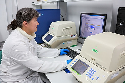 Белорусские ученые создают инновационные препараты для медицины и сельского хозяйства