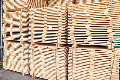 Производства по выпуску поддонов намерены наладить в Дрогичинском и Лунинецком лесхозах
