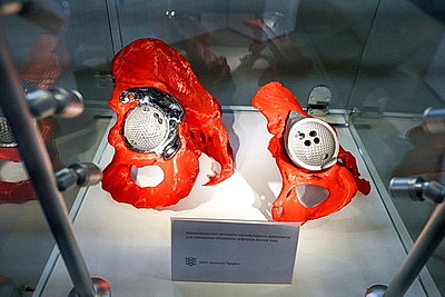 Делегаты ВНС из разных регионов страны посетили выставку \"Моя Беларусь\"