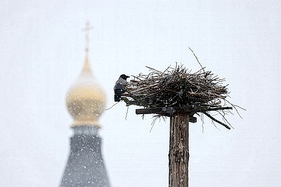Настоящая зима пришла в Беларусь