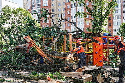 К ликвидации последствий грозового фронта в Могилевской области привлечены дополнительные ресурсы и силы