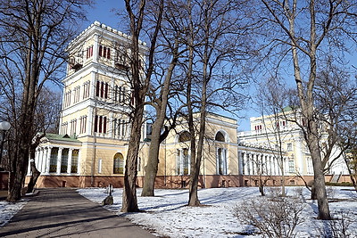 Зимний день в Гомельском парке