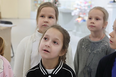 Более 2 тыс. елочных игрушек, гирлянд и открыток разных эпох представили на выставке в Могилеве