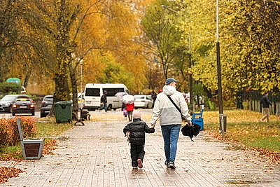 Осенний дождливый день