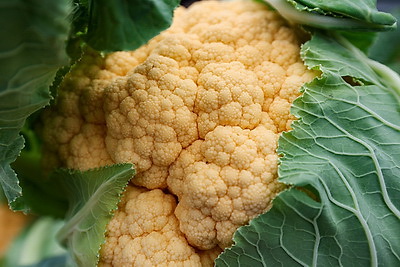 Сельскохозяйственные ярмарки стартовали в Минске