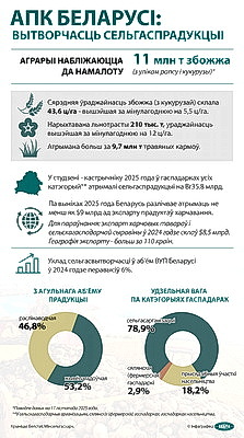 Инфографика. АПК Беларуси: Производство сельхозпродукции