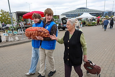 Сельскохозяйственные ярмарки стартовали в Минске