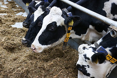 Сергеенко в Браславе пообщался с молодыми специалистами и ознакомился с новым отделением ЦРБ