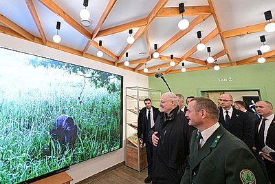 Лукашенко ознакомился с комплексным развитием территории Березинского биосферного заповедника