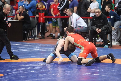 Более 200 юных борцов участвуют в республиканской спартакиаде в Гомеле