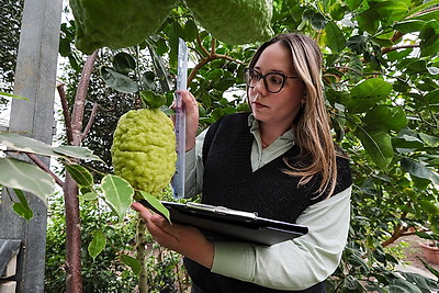 Белорусские ученые создают инновационные препараты для медицины и сельского хозяйства