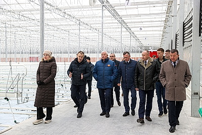 Комплекс для выращивания томатов построили в Ольшанах по программе \"Один район - один проект\"