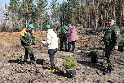 Для будущих поколений. Акция \"Дай лесу новае жыццё!\" стартовала в Жлобинском районе